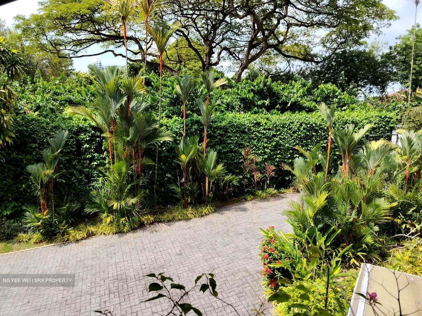 Bin Tong Park (D10), Detached #545980401